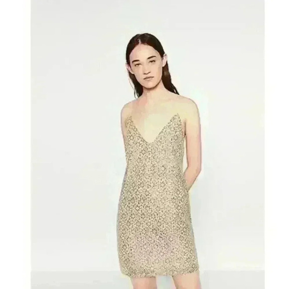 Zara Lace Mini Dress Size Medium - Picture 1 of 11